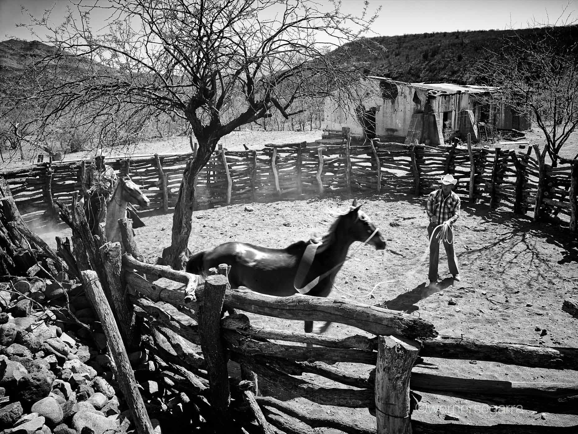 wernersegarra_0126